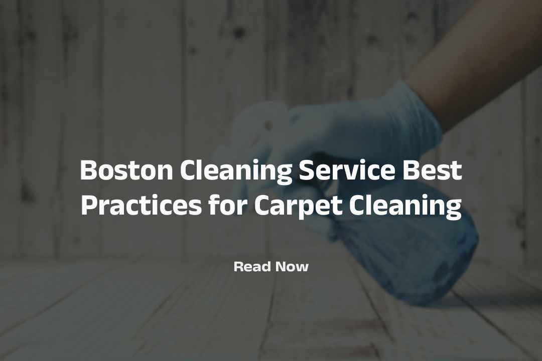 Boston Cleaning Service